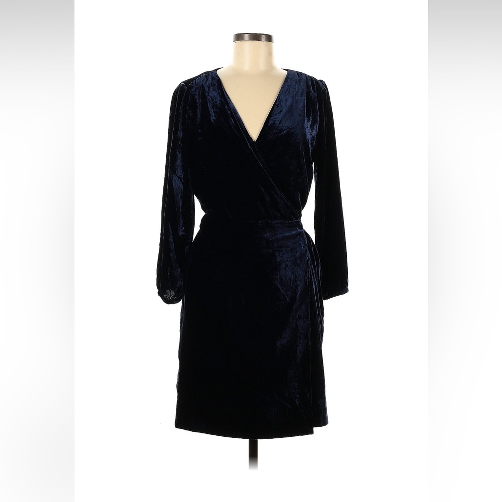 J. Crew Midnight Blue Velvet Dress
